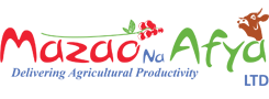 Mazao Na Afya