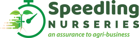 Speedling Nurseries