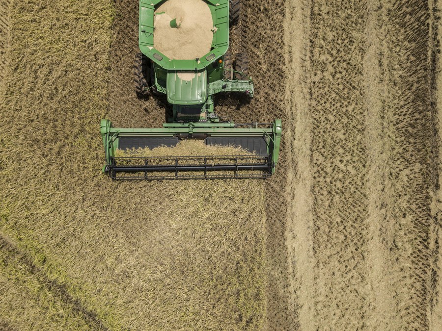 Agriculture, Fishing & Forestry